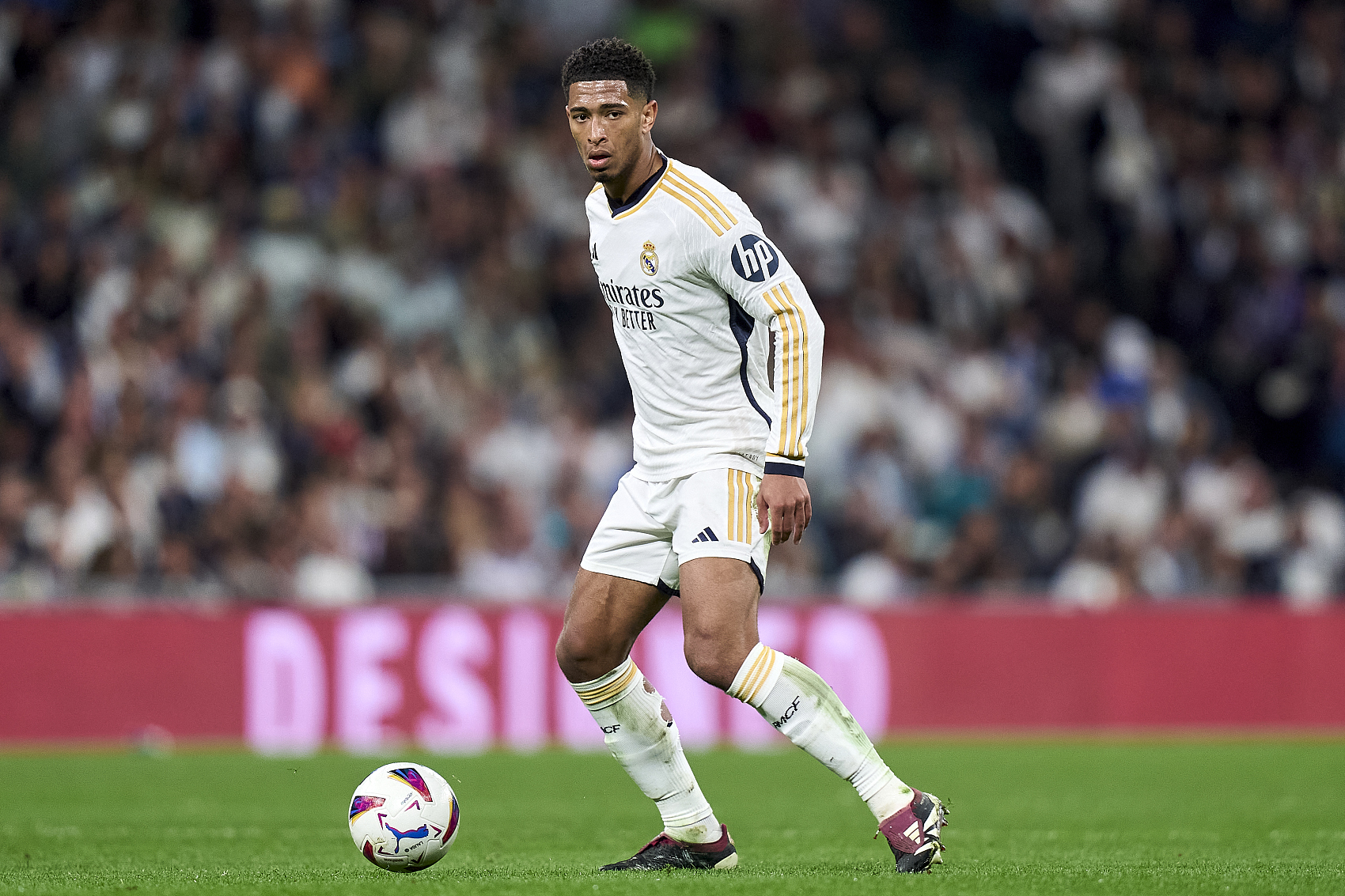 他不仅仅是 他不仅仅是