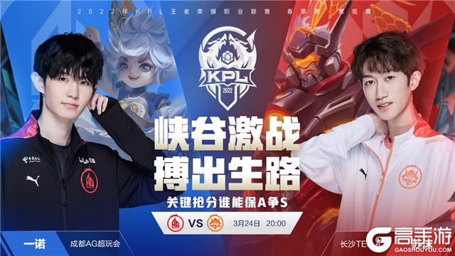 在她的声明 在她的声明